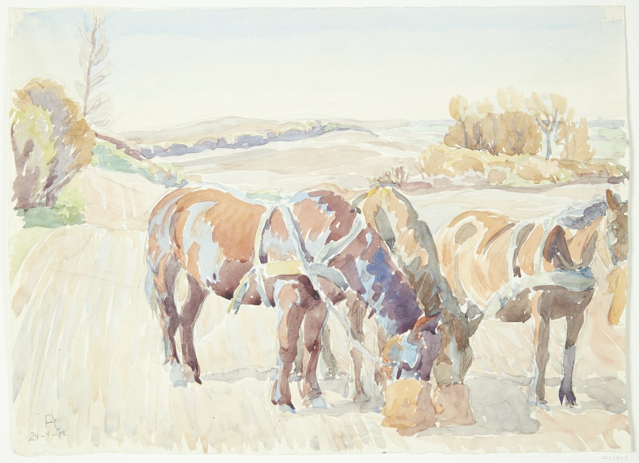 Pferde auf der Weide von Peter Hansen