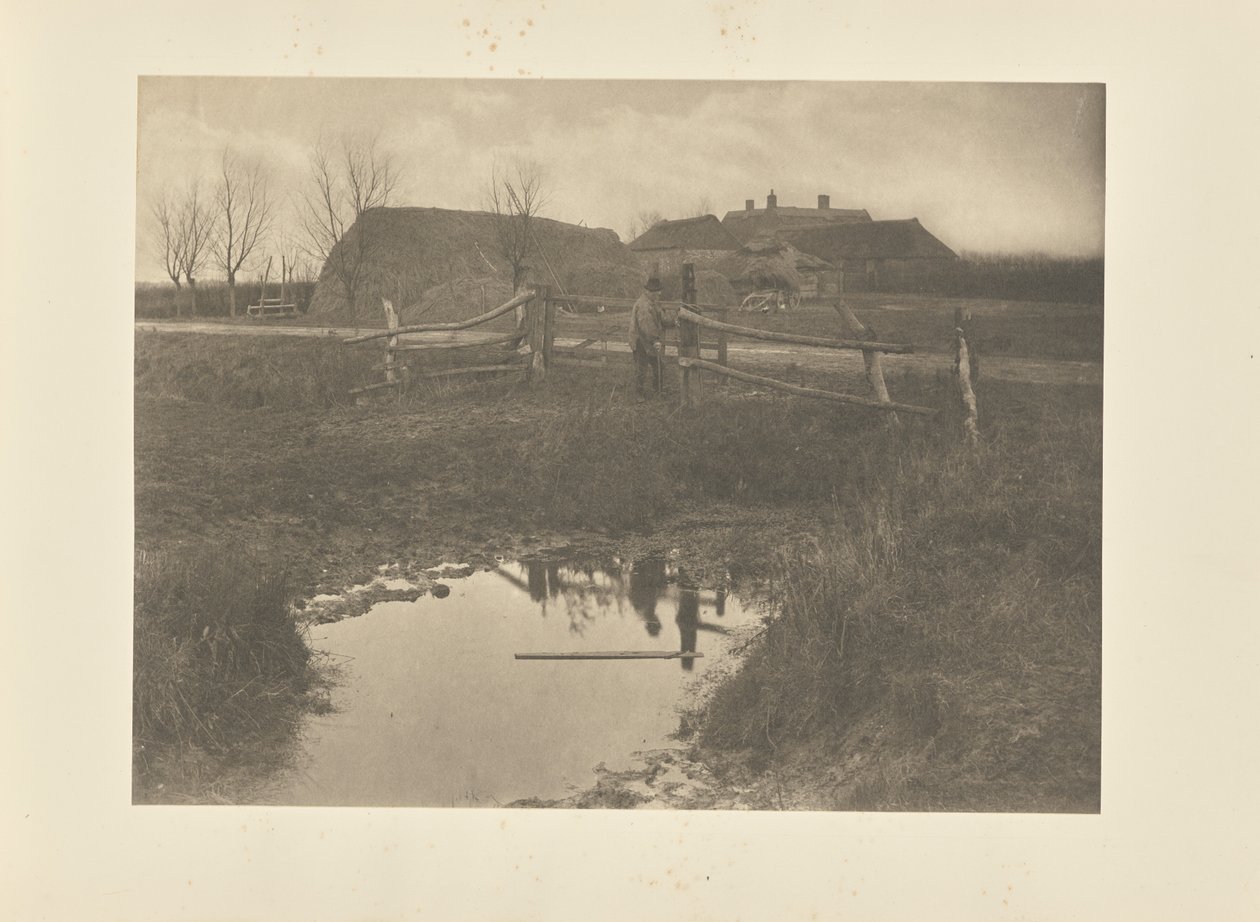 Ein Sumpffarm von Peter Henry Emerson
