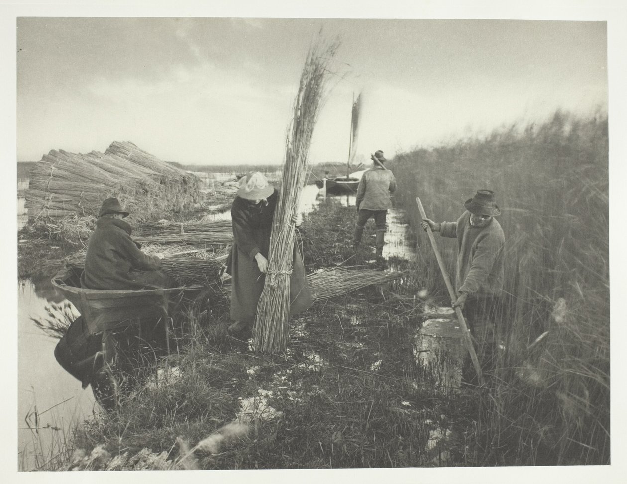 Während der Schilfernte von Peter Henry Emerson