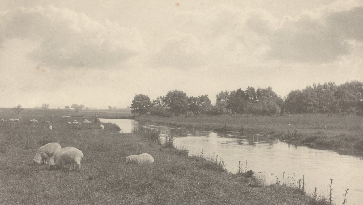 Am Fluss Bure, 1886 von Peter Henry Emerson