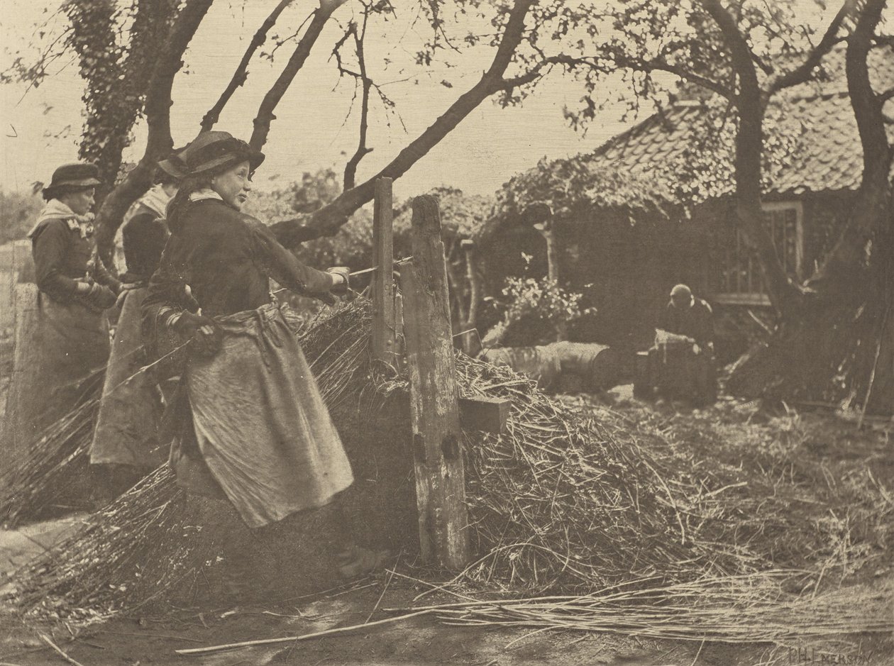 Weidenruten-Schälen. [Norfolk.] von Peter Henry Emerson