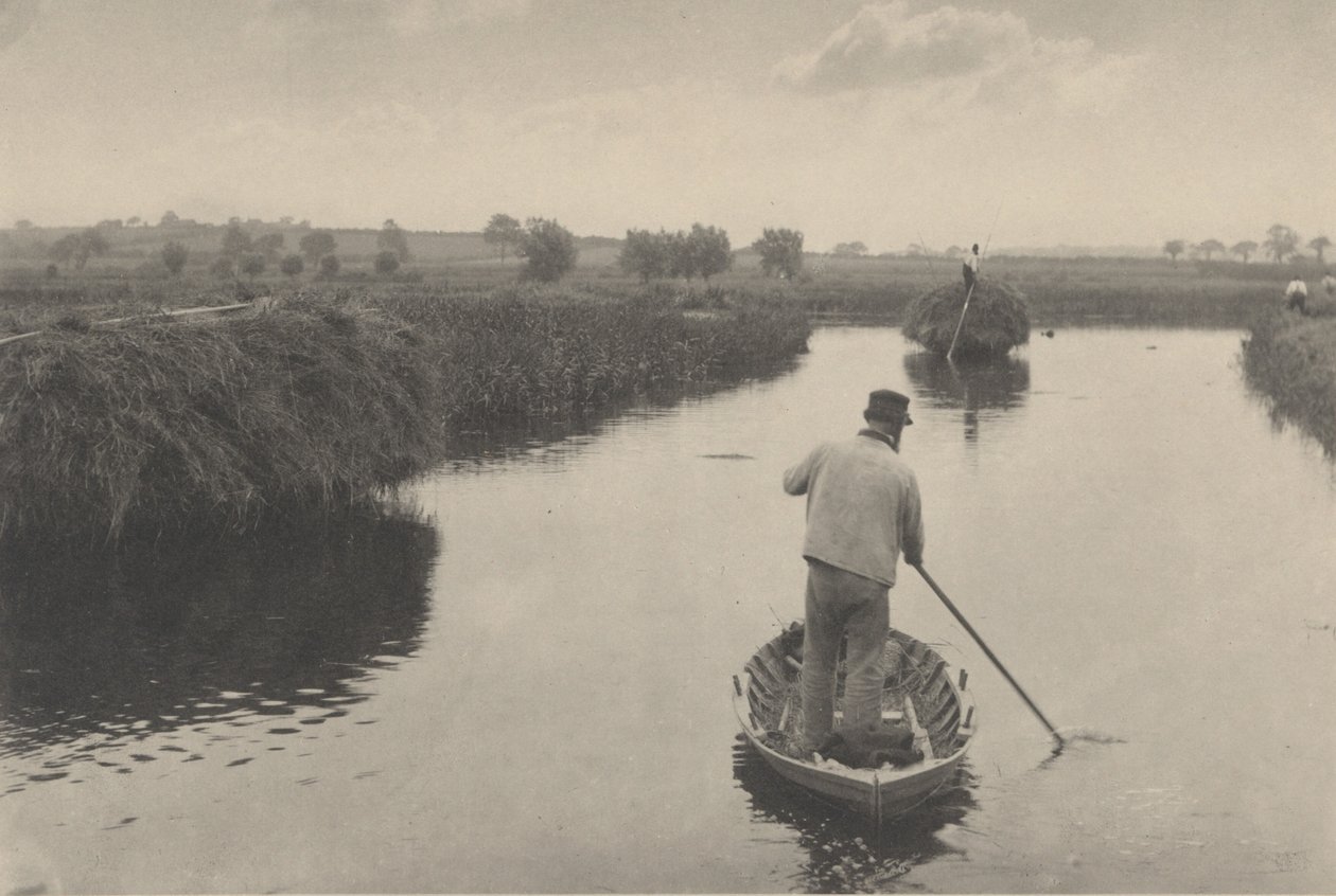 Das Marschheu quanten, 1886 von Peter Henry Emerson