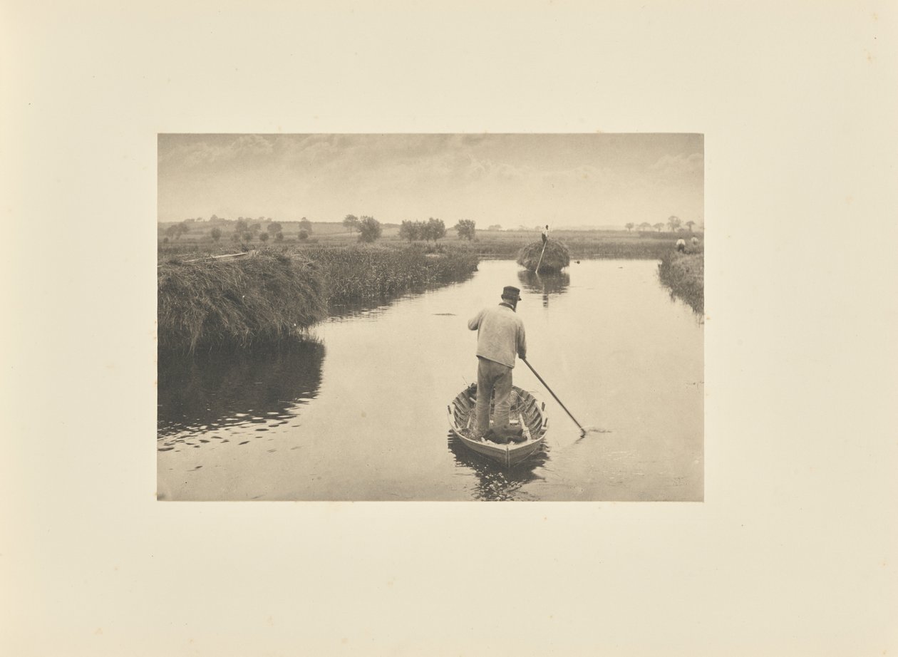 Das Marschheu quanten von Peter Henry Emerson