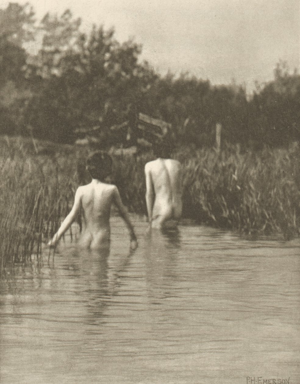 Wasserbabys von Peter Henry Emerson