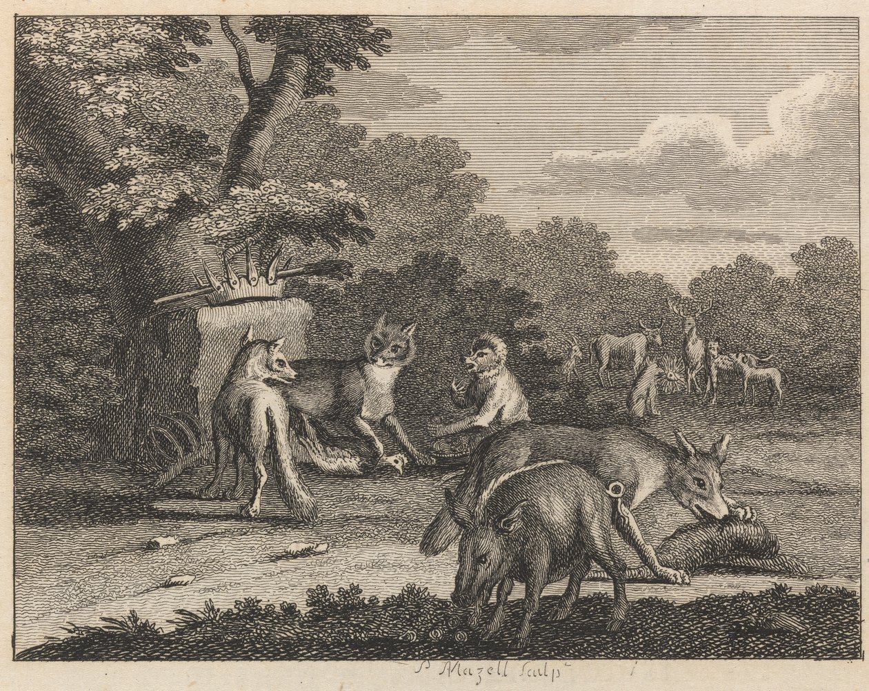 Der Schakal, Leopard und andere Tiere von Peter Mazell