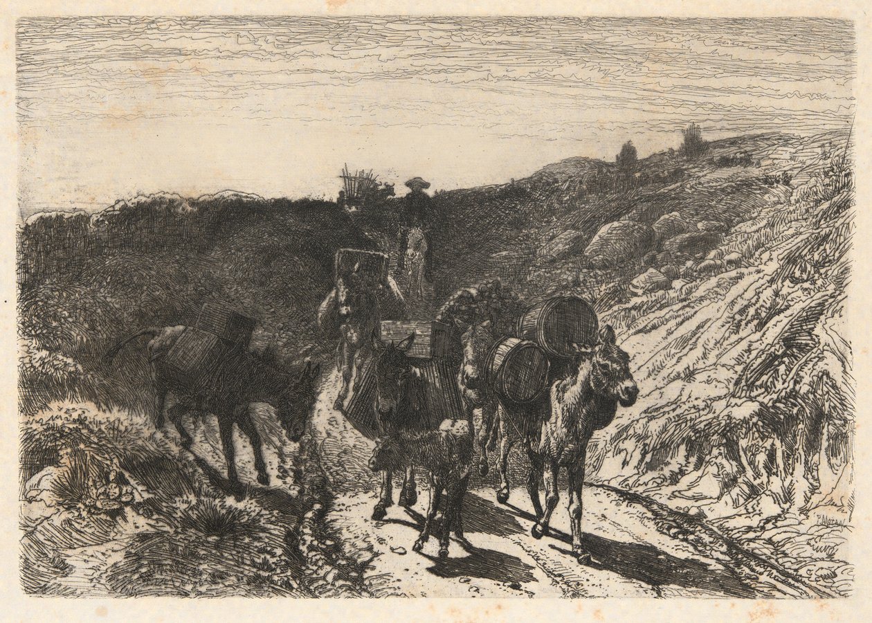 Burro-Zug, New Mexico von Peter Moran