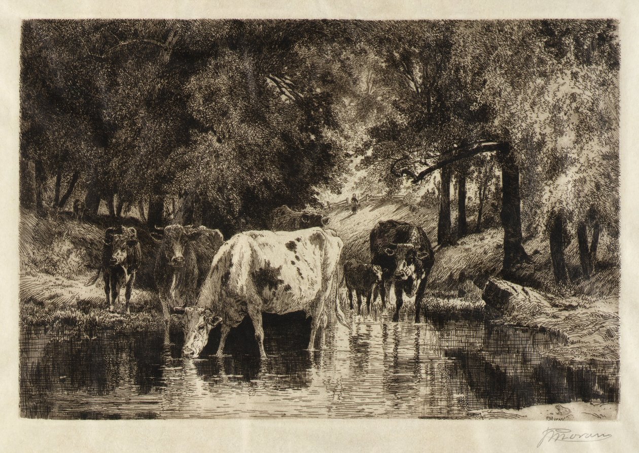 Der Pool von Peter Moran
