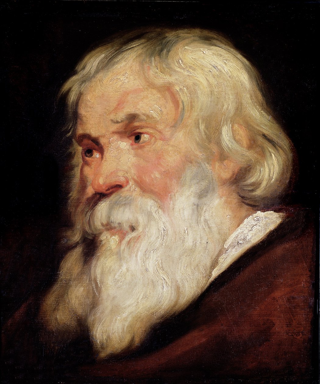Kopf eines alten Mannes von Peter Paul Rubens
