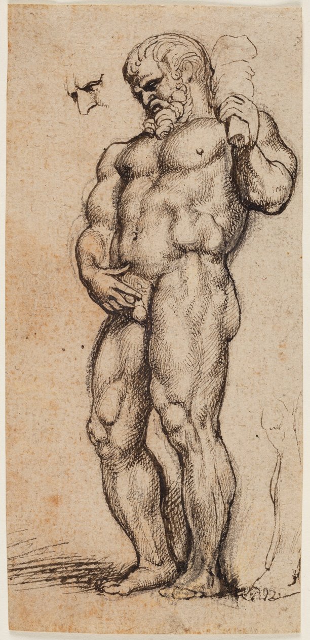 Herkules von Peter Paul Rubens