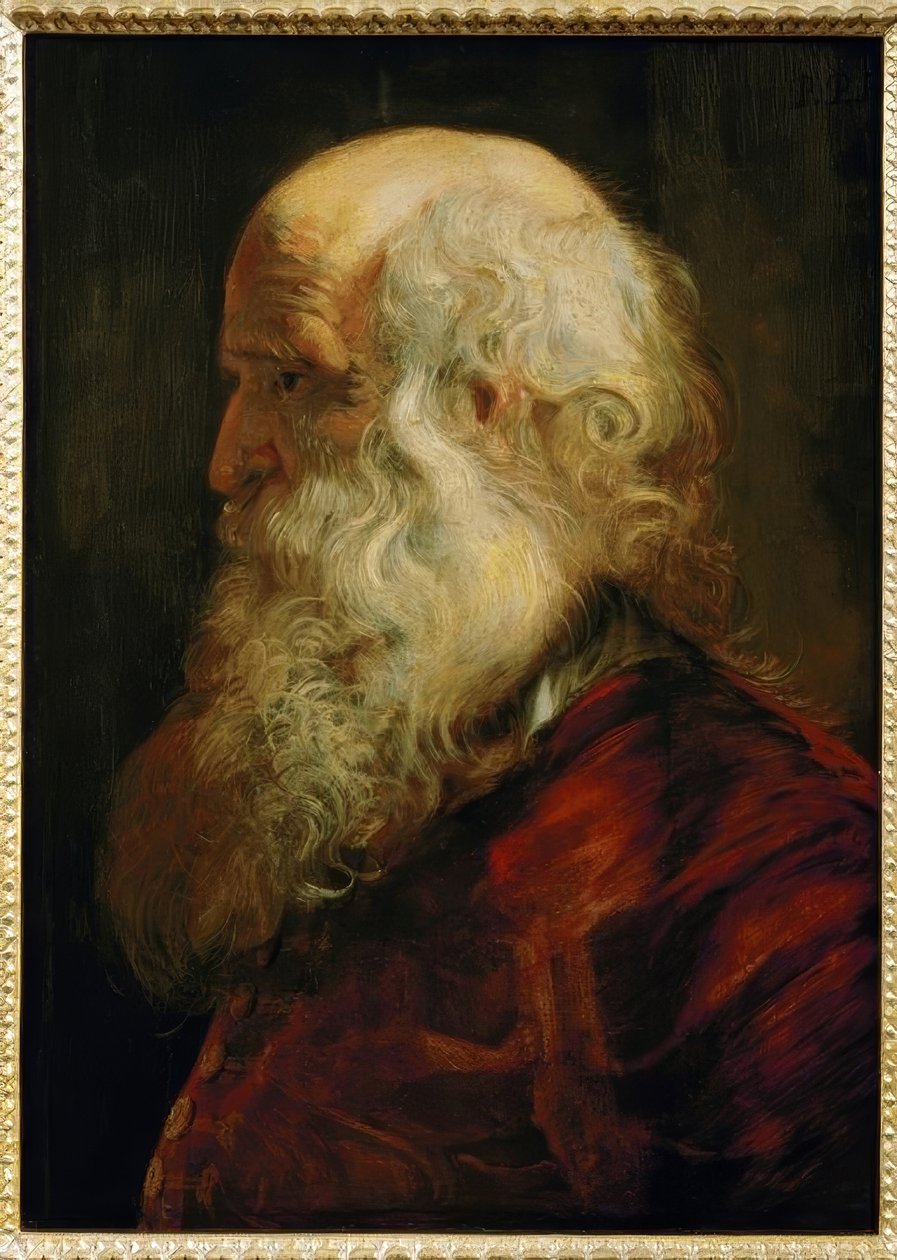 Studienkopf eines Greises von Peter Paul Rubens