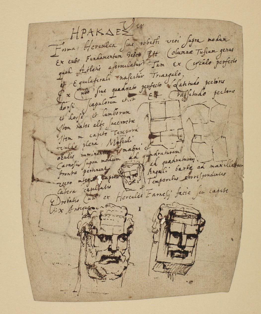 Studie des Farnesischen Herkules von Peter Paul Rubens