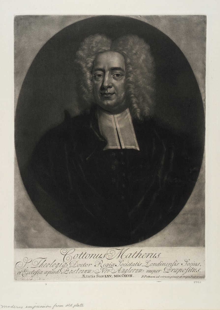 Cottonus Matherus von Peter Pelham