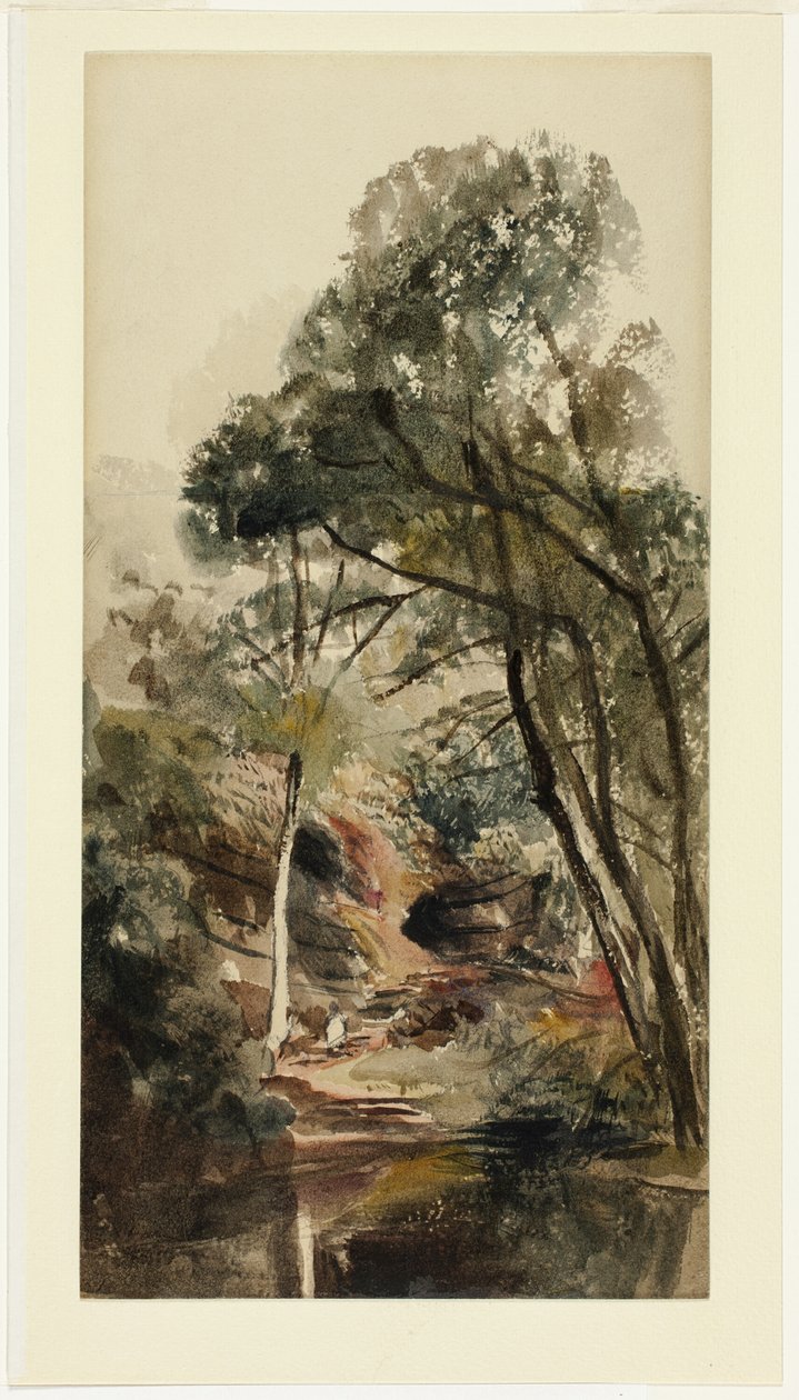 Eine bewaldete Flusslandschaft von Peter de Wint