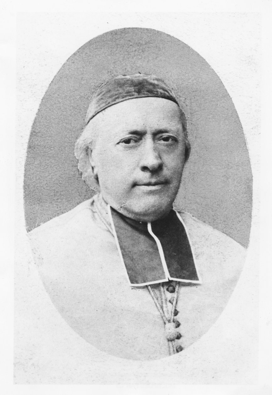 Porträt von Charles-Emile Freppel von Petit
