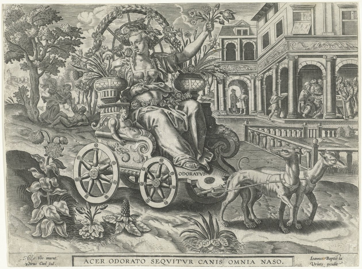 Geruch (Odoratvs) von Petrus Cool