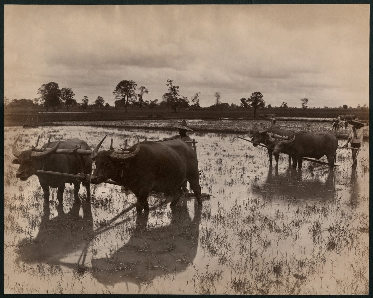 Landarbeit, ca. 1880 von Philip Adolphe Klier