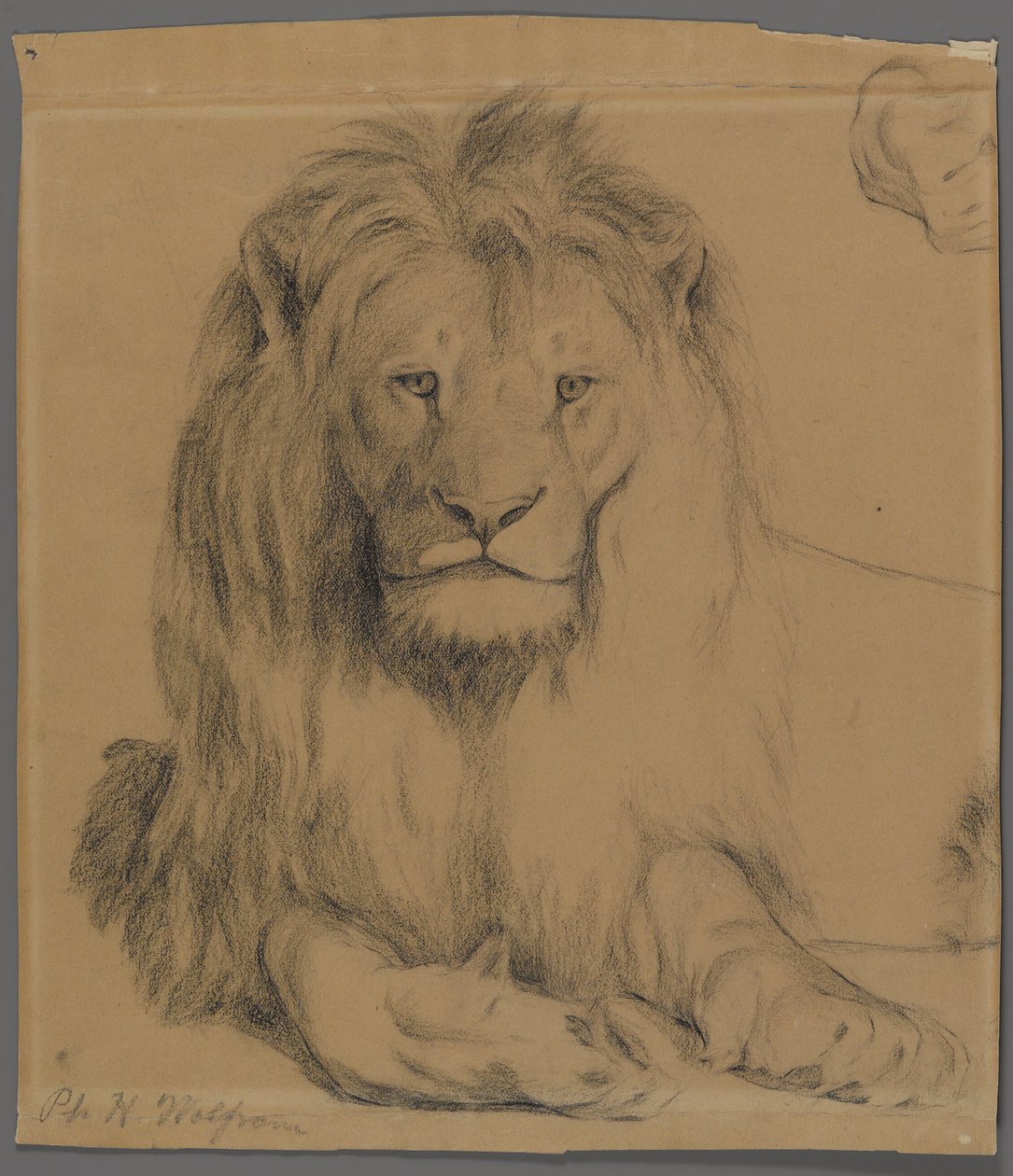 Löwe von Philip H. Wolfrom