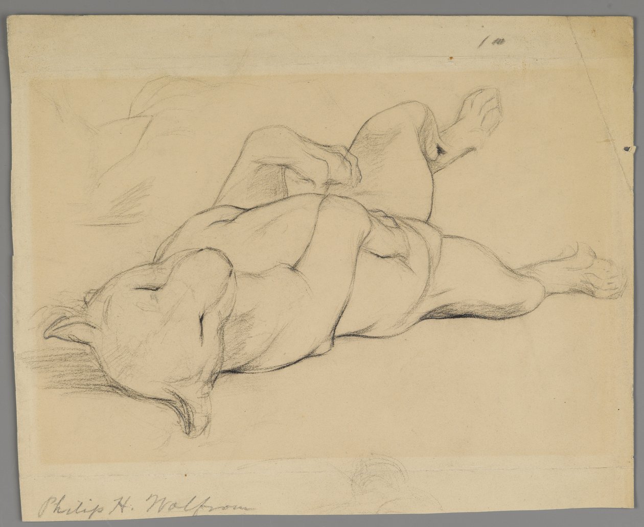 Schlafende Löwin von Philip H. Wolfrom