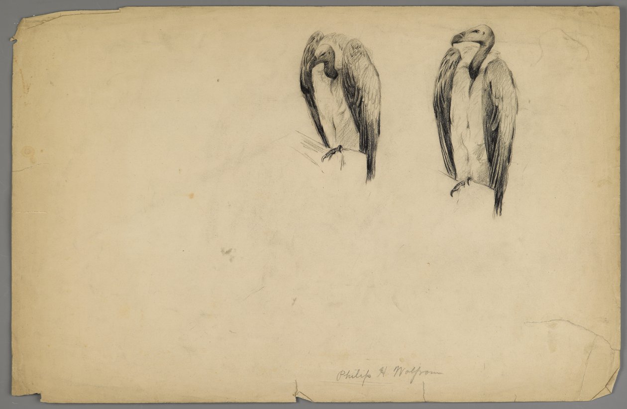 Geier von Philip H. Wolfrom