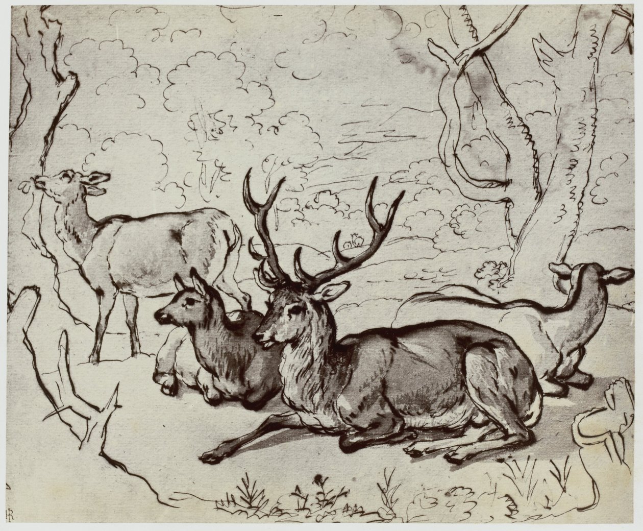 Ridinger, Ein Hirsch von Philip Henry Delamotte