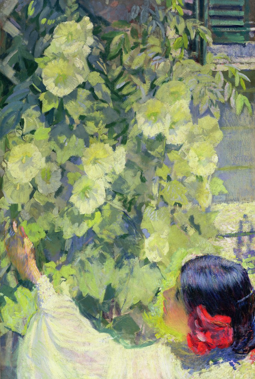 Stockrosen von Philip Leslie Hale