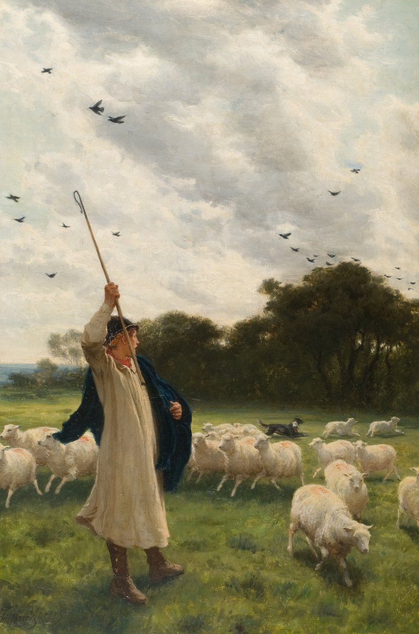 Wechselnde Weide von Philip Richard Morris