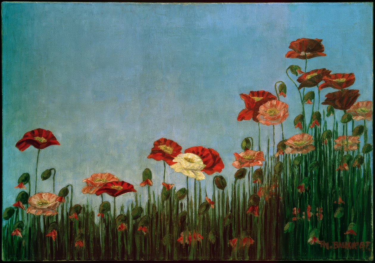 Mohnblumen von Philipp Bauknecht