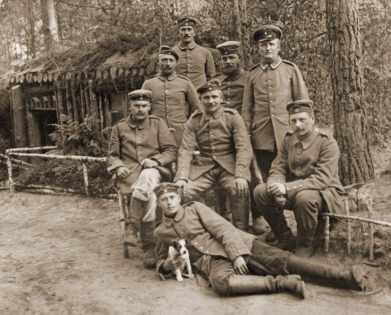 Gruppe deutscher Soldaten mit einem Hund von Photographer German