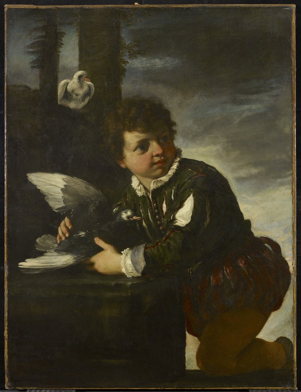 Junge mit einer Taube von Pier Francesco Mola