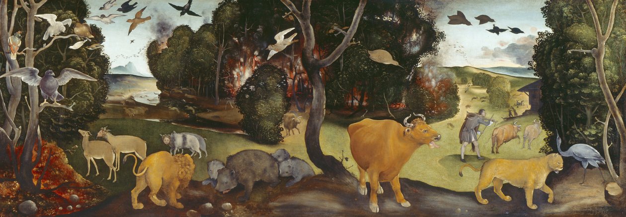 Der Waldbrand, 15. Jahrhundert von Piero di Cosimo