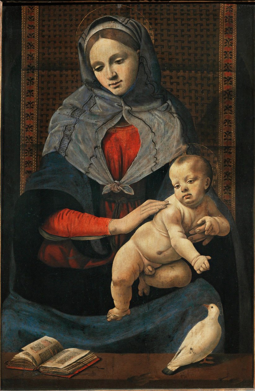 Madonna mit Kind und einer Taube von Piero di Cosimo