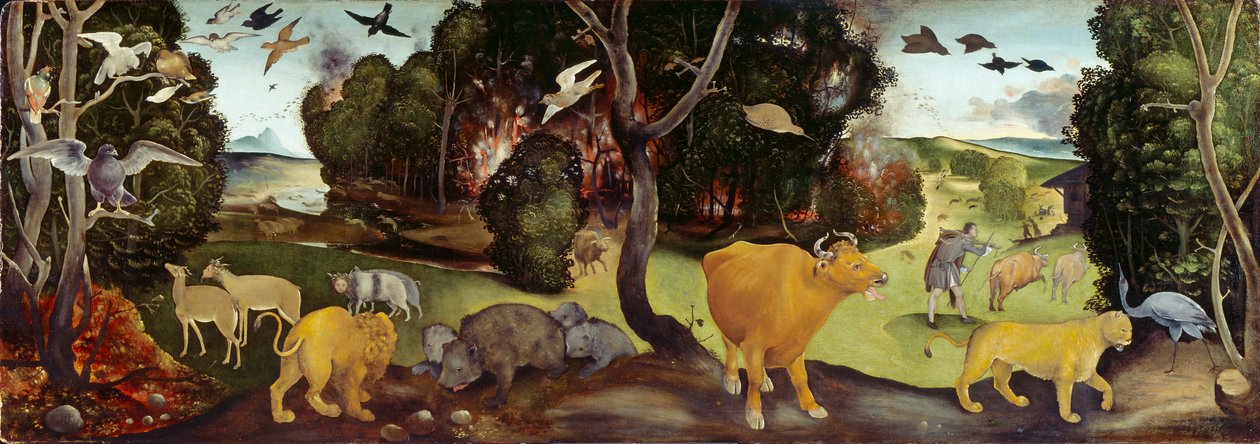 Der Waldbrand, ca. 1505 von Piero di Cosimo