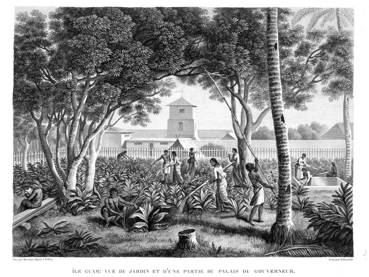Insel Guam: Einheimische bei der Arbeit im Garten des Gouverneurspalastes, aus 