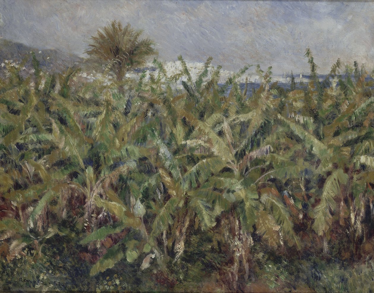 Bananenfeld von Pierre Auguste Renoir