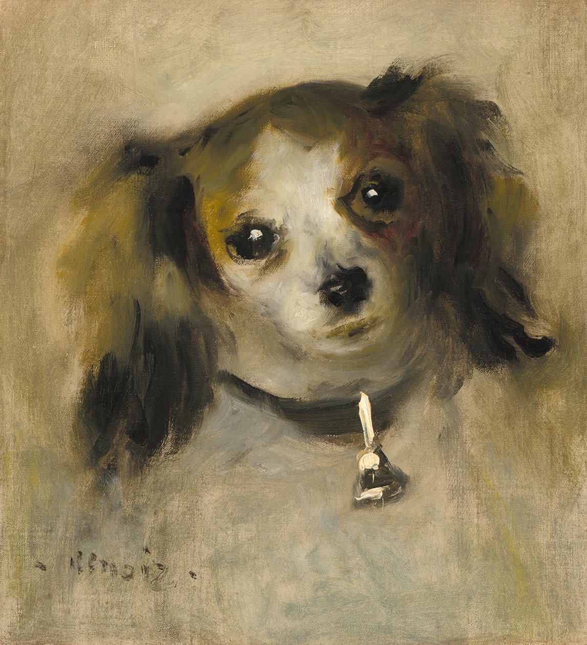 Kopf eines Hundes, 1870 von Pierre Auguste Renoir