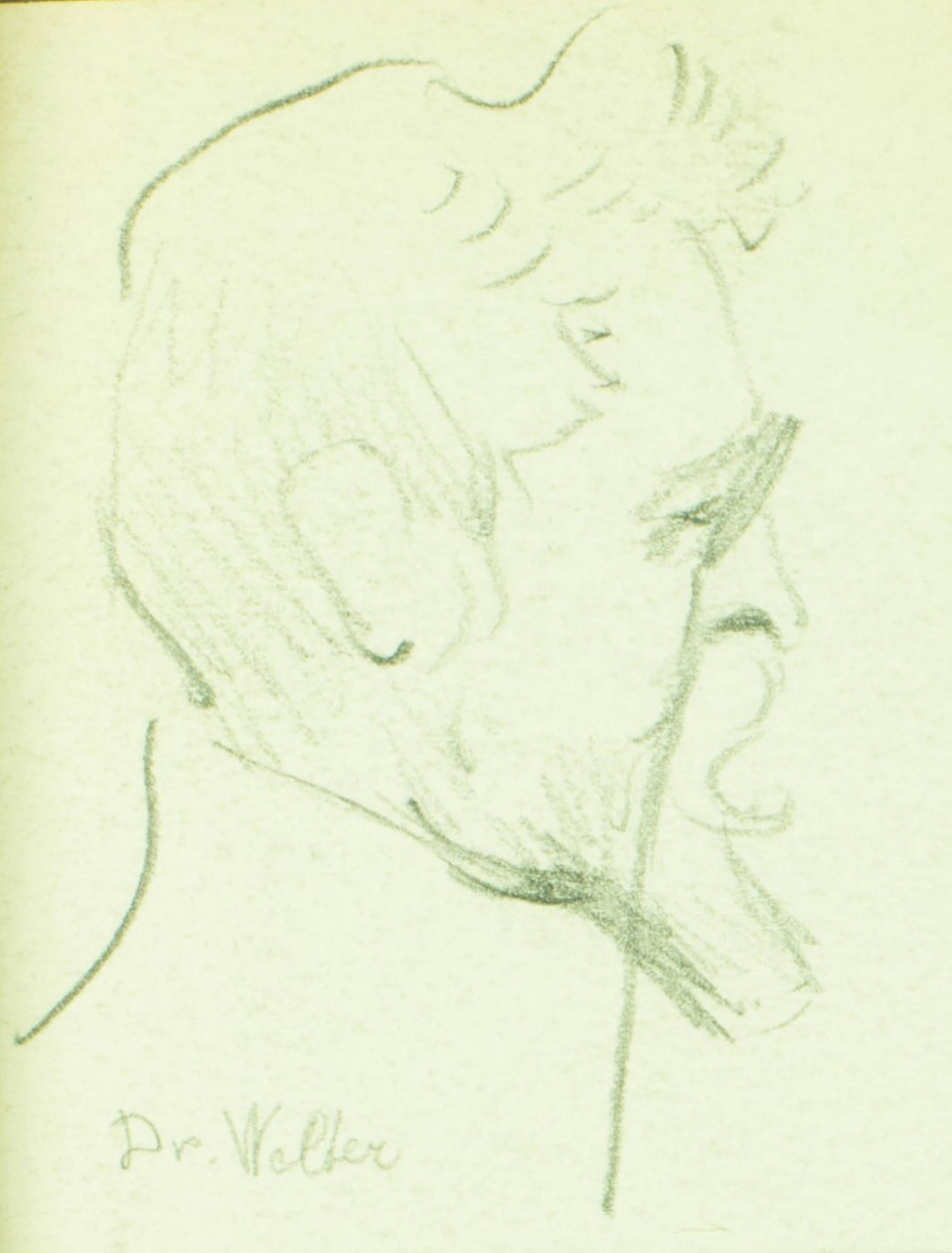 Dr. Welter von Pierre Blanc