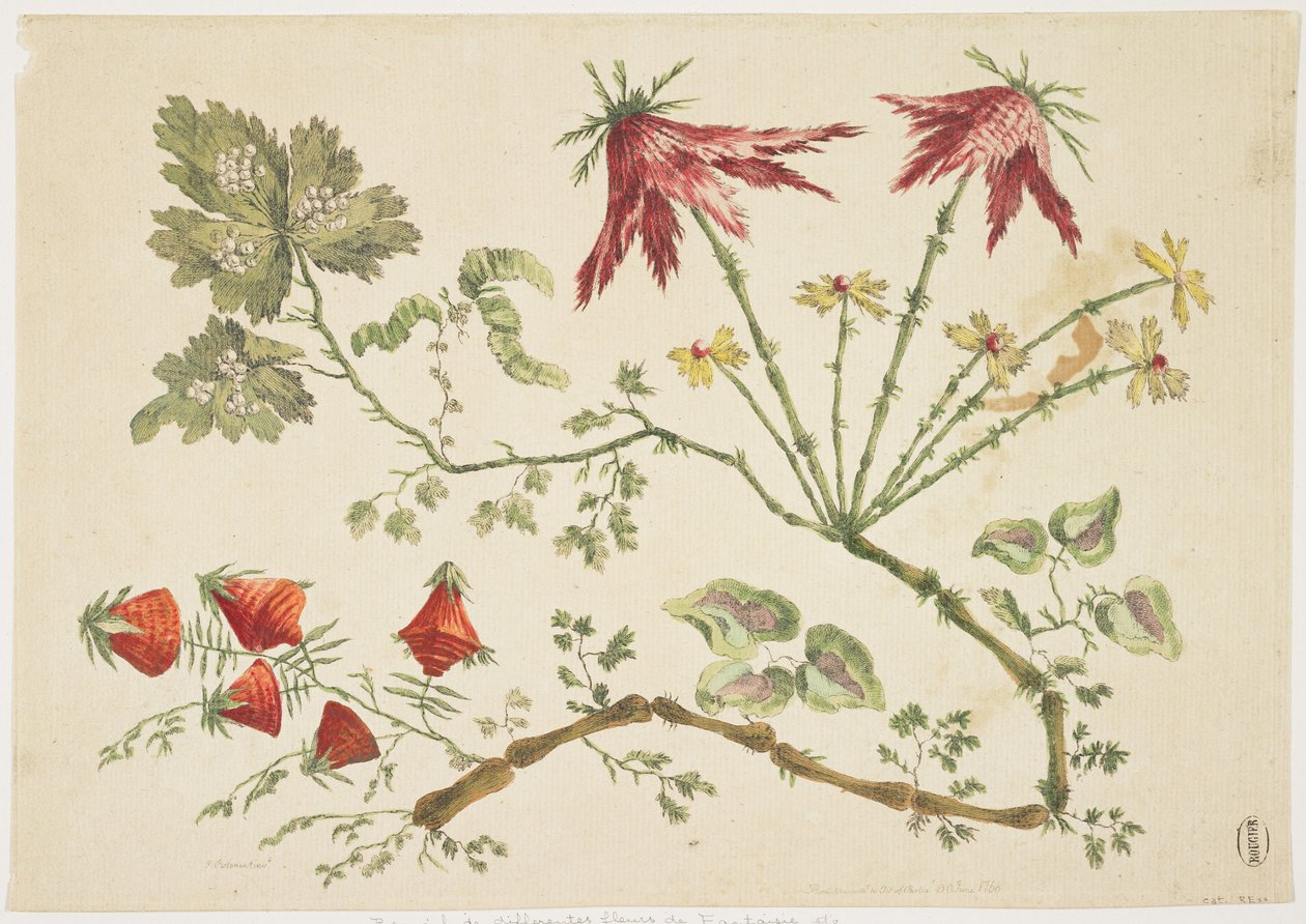 Ornament, Chinoiserie, Blumen, 30. Juni 1760 von Pierre Charles Canot