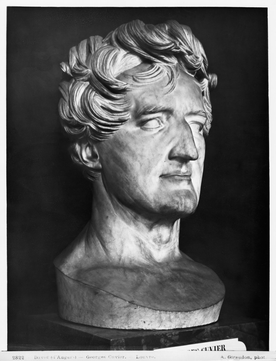 Georges Cuvier, 1833 (Marmor) von Pierre Jean David d