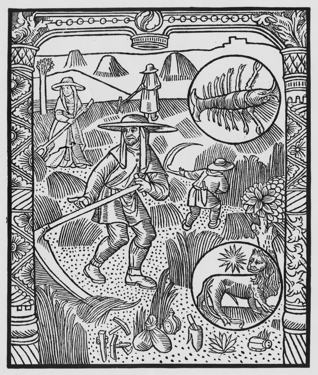 Juli, Heuernte, Krebs, Illustration aus dem 