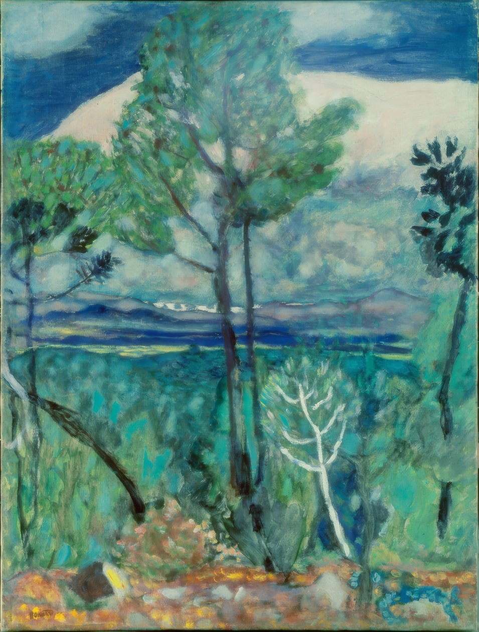 Landschaft von Pierre Bonnard