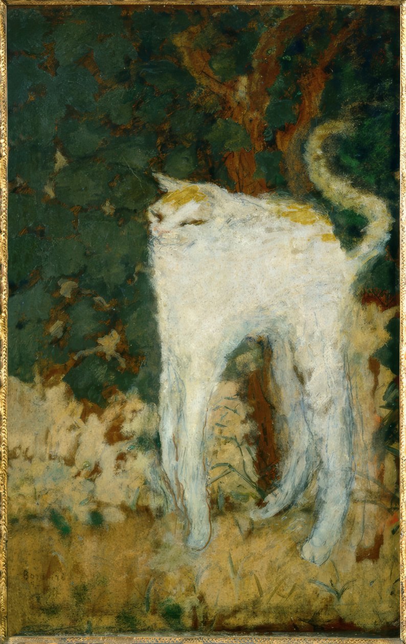 Die weiße Katze von Pierre Bonnard