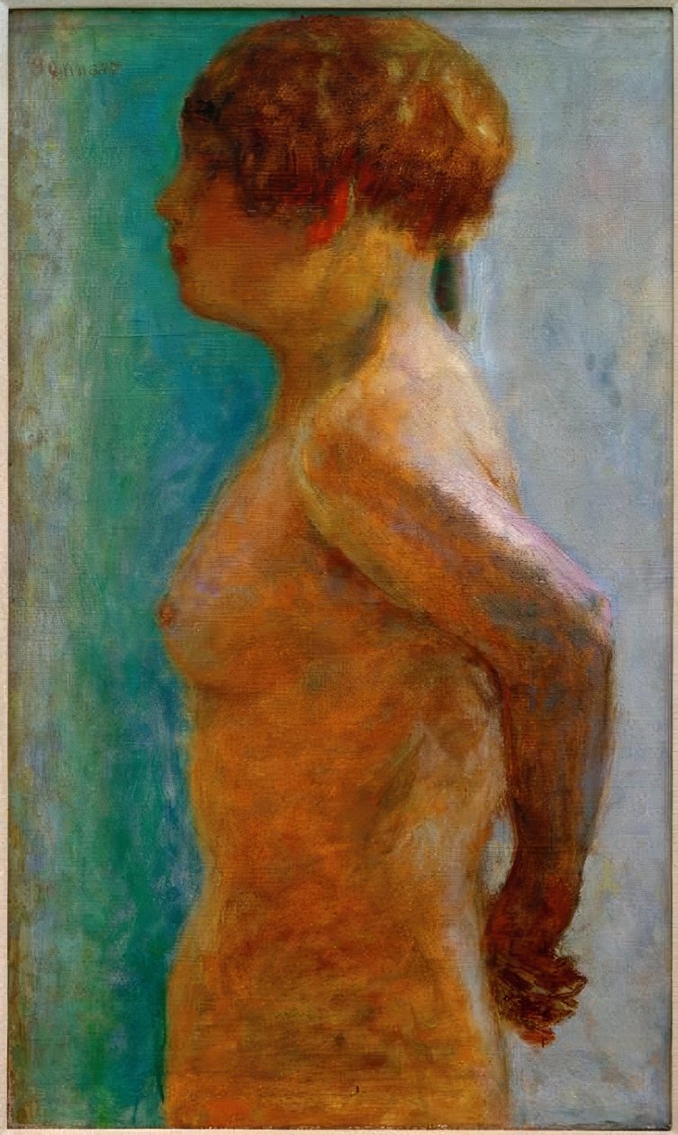 Frauentorso im Profil von Pierre Bonnard