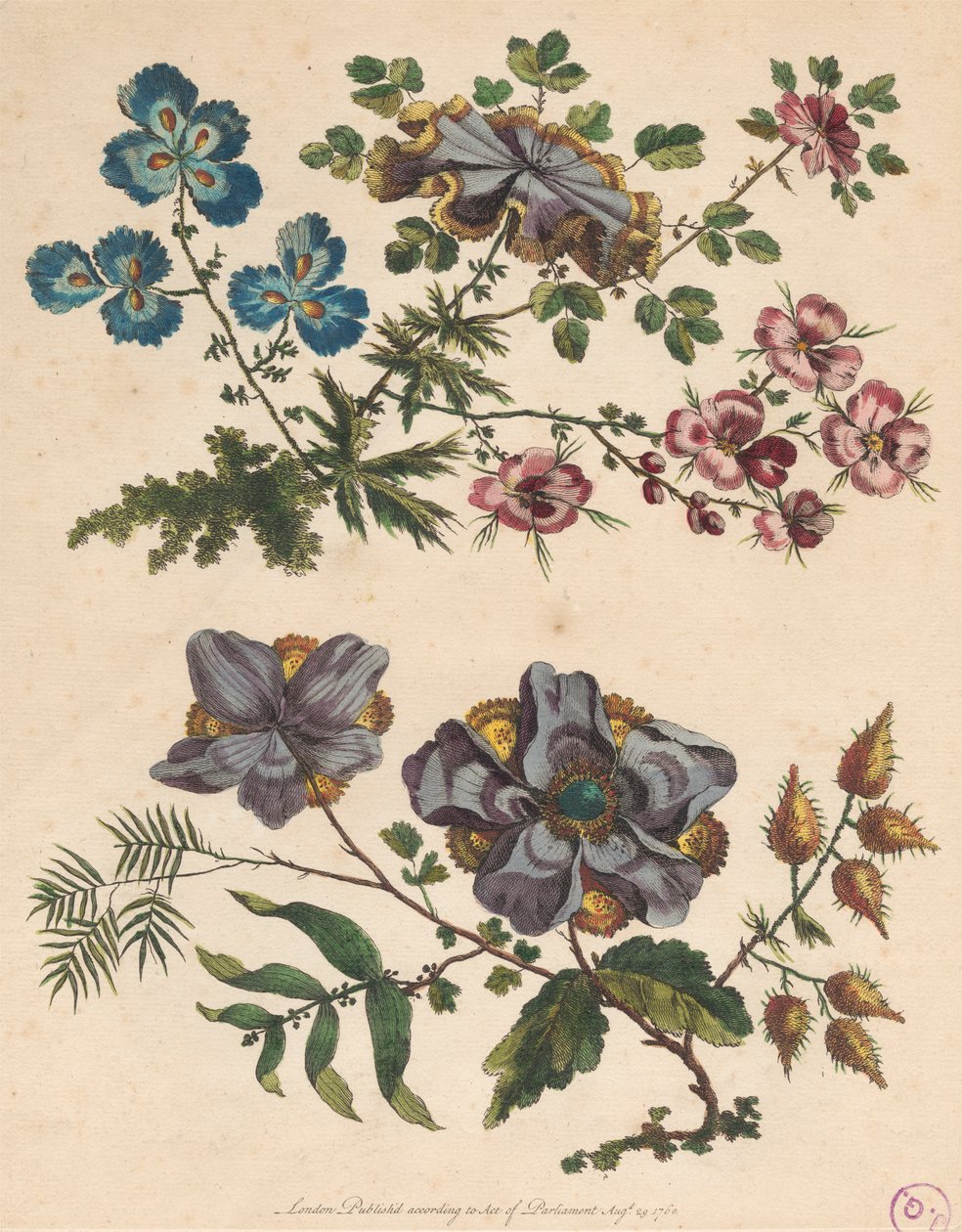 Zwei Sträuße imaginärer Blumen von Pierre Charles Canot