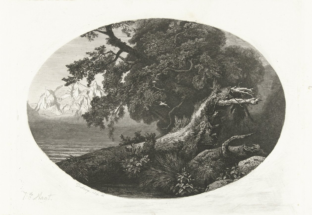 Entwurzelter Baumstamm an der Küste von Pierre Louis Dubourcq
