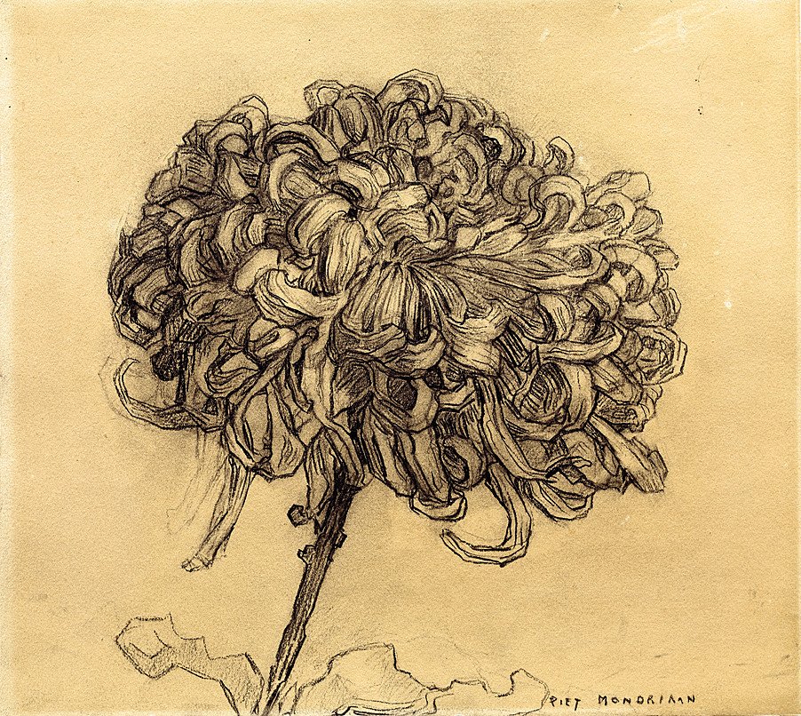 Chrysantheme von Piet Mondrian