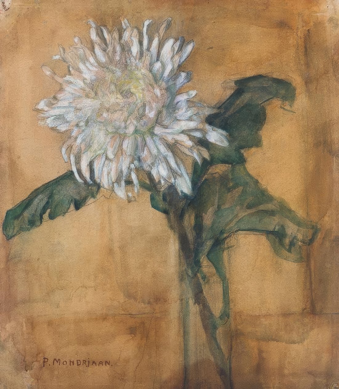 Chrysantheme von Piet Mondrian