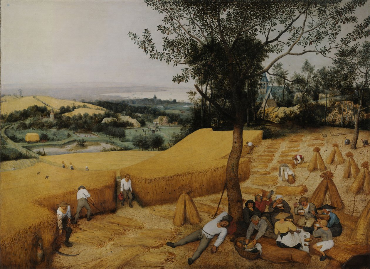 Die Erntearbeiter von Pieter Bruegel the Elder