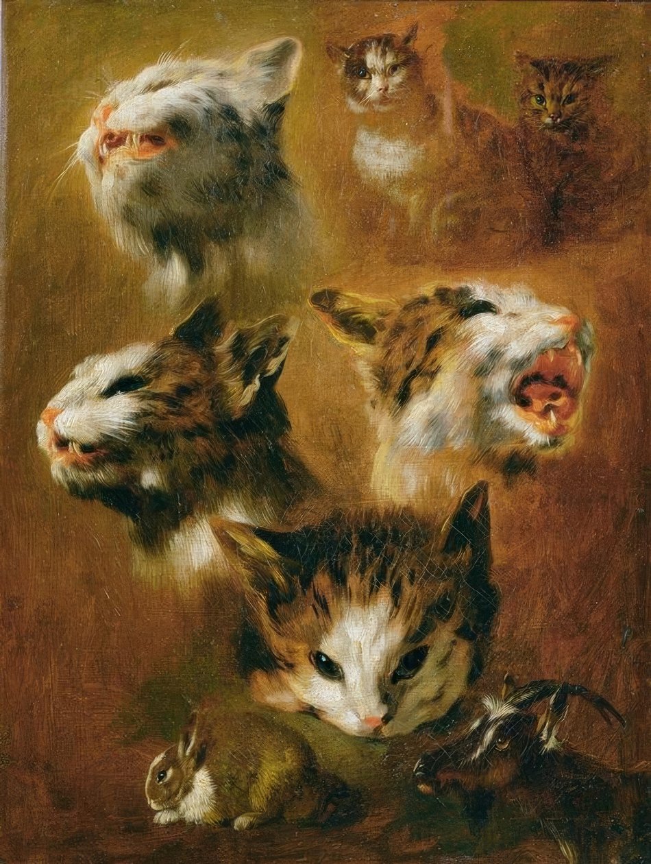 Tierstudien: Katzen, Kaninchen und Ziege von Pieter or Peter Boel