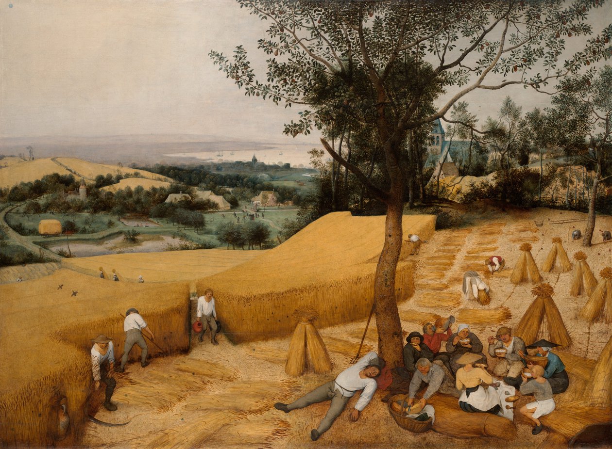 Die Erntearbeiter (1565) von Pieter Bruegel the Elder