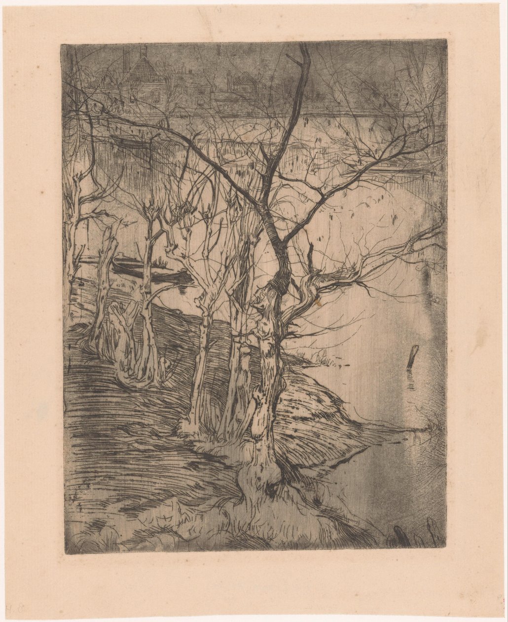 Kahle Bäume am Wasser von Pieter Dupont